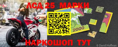 индика Будённовск