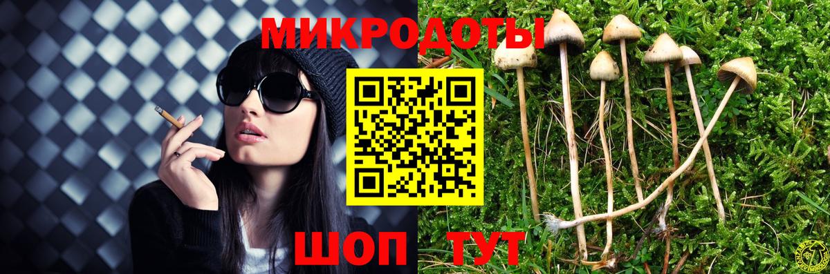 Псилоцибиновые грибы мухоморы Ставрополь
